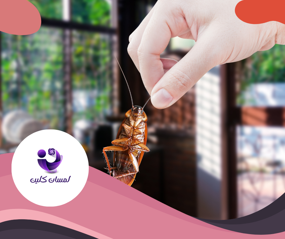 شركة مكافحة الصراصير